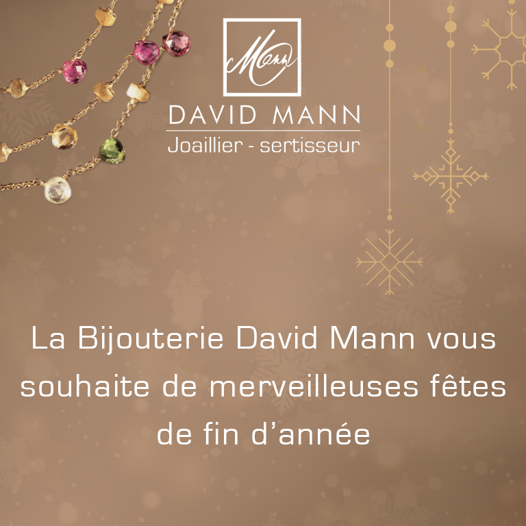 voeux fêtes 2018 2019 david mann