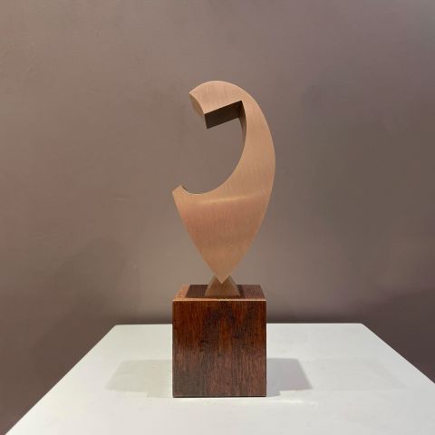 Sculpture David Mann Fragment - bronze sur chene